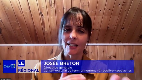 Entrevue - Josée Breton, dir.-gén. du Conseil régional de l'Environnement Chaudière-Appalaches - 28 janvier 2025_1