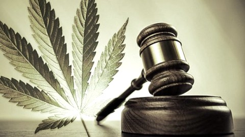 Le Maine dit oui à la légalisation du cannabis à des fins récréatives