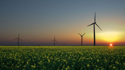 350 M$ pour appuyer la construction de parcs éoliens de l'Alliance de l'énergie de l'Est