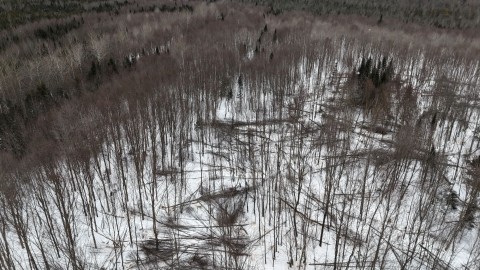 	            	Des acériculteurs en colère bloquent l’accès à la Seigneurie Joly.	            