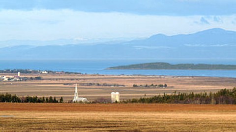 Les acteurs du bioalimentaire du Kamouraska s'unissent pour le développement de la zone agricole