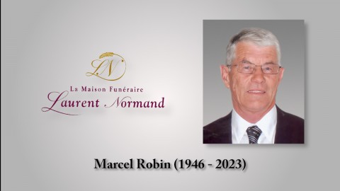 Marcel Robin (1946 - 2023) 