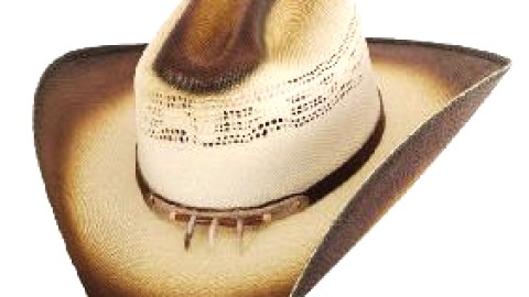 3e festival de danse country, du 27 au 29 juin à la Pocatière