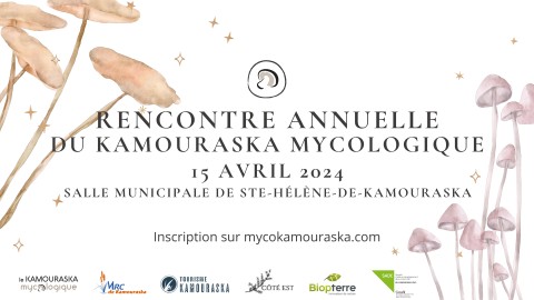 Rencontre annuelle du Kamouraska Mycologique 2024