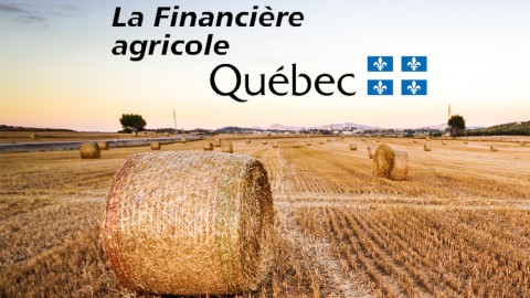 La Financière agricole du Québec met en place dès maintenant des mesures d'exceptions