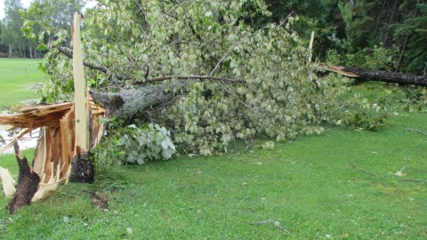 	            	Une tempête de vent déracine des centaines d’arbres au Club de Golf de Saint-Pamphile	            