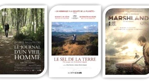 Amour, quête, humanité, tension et intrigue au cur du ciné-club de l'automne