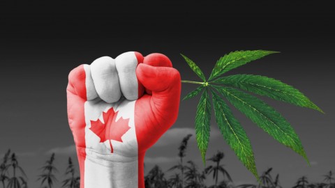 Consommation de cannabis dans les lieux publics : L’UMQ prône l’autonomie des municipalités