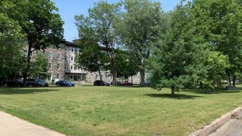 La ville de Saint-Pascal aura cette année son marché public! 