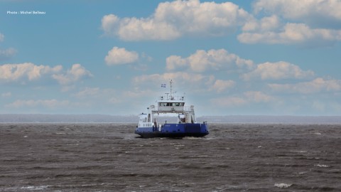 Conflit de travail à la traverse Isle-aux-Grues–Montmagny