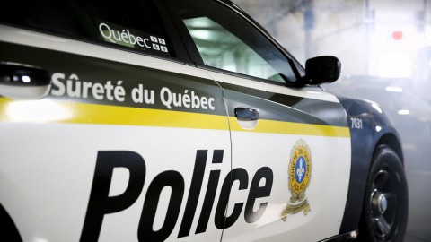 	            	Une collision entre une voiture et un orignal à Saint-Pamphile fait deux blessés	            