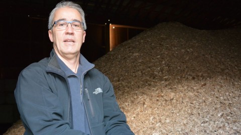 Une conférence gratuite au sujet de la biomasse forestière à Montmagny