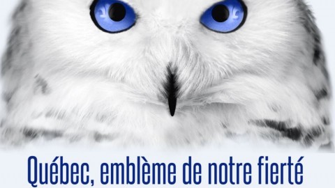 Un concours de photo pour la Fête nationale du Québec à Saint-Jean-Port-Joli