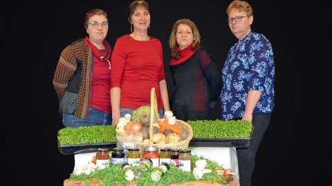 Des légumes frais et bios en un seul clic pour la région de Montmagny