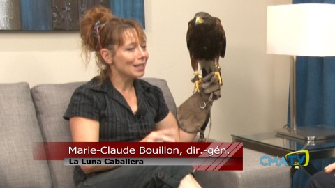 Entrevue - Marie-Claude Bouillon, La Luna Caballera - 13 août 2019