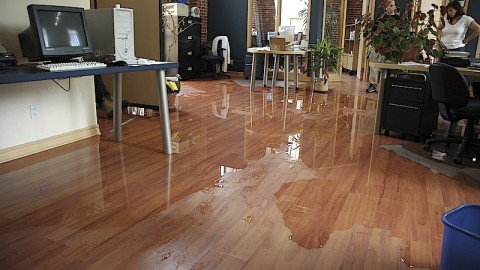 PLUSIEURS REFOULEMENTS D'EAU DANS DES RÉSIDENCES À MONTMAGNY