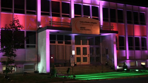 LUMIÈRE SUR LE CECM!