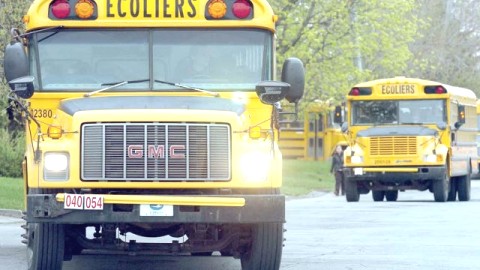 LE POULS IRRÉGULIER DU TRANSPORT SCOLAIRE DU MIDI