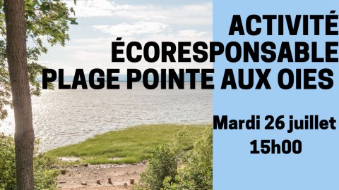 Invitation pour le nettoyage de la plage Pointe-aux-Oies à Montmagny