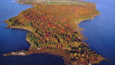 Le gouvernement du Canada investit plus de 1,7 million de dollars pour le rétablissement d’espèces en péril dans les Basses-terres du Saint-Laurent