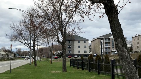 La Ville enlèvera des d’arbres sur le chemin des Poirier