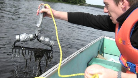 À LA RECHERCHE DES PLANTES AQUATIQUES DE NOS LACS