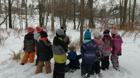 Le projet pilote sur la biodiversité et l’environnement redémarre à l’École Saint-Nicolas