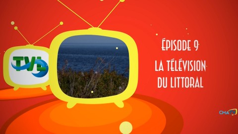 À la découverte des télés régionales - Télé du Littoral à Forestville - 15 novembre 2024