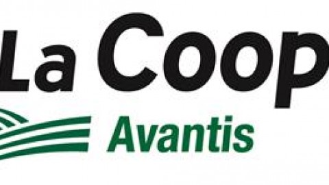 Avantis Coopérative prend son élan!