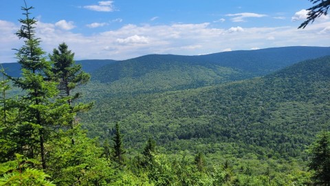 Le Conseil régional de l’environnement Chaudière-Appalaches salue l’annonce du gouvernement concernant la conservation de la biodiversité au Massif du Sud