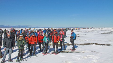 	            	Plus de 350 raquetteurs à La Randonné sur les glaces du fleuve	            