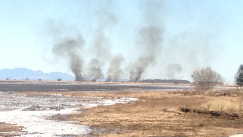 20/11, 11h: Feu de brousse sur L'Isle-aux-Grues