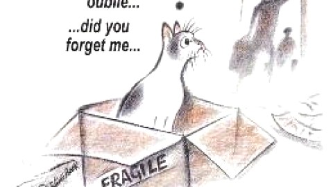 Déménager, sans oublier l'animal de compagnie et, ... ses responsabilités