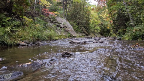 Le 6ième Forum régional sur la qualité de l’eau en Chaudière-Appalaches se tiendra le 7 juin prochain