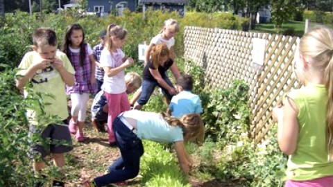 Une première saison réussi pour ¨Un trésor dans mon jardin dans Les Etchemins¨