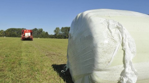 Fin du projet de collecte des plastiques agricoles par la MRC de Bellechasse