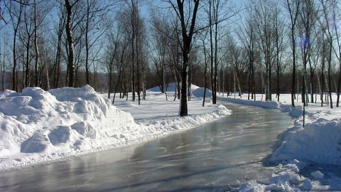 L’anneau de glace revivra au parc Saint-Nicolas de Montmagny