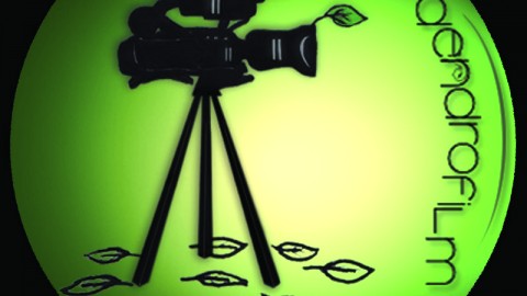 Deuxième édition réussie pour l'équipe de Dendrofilm