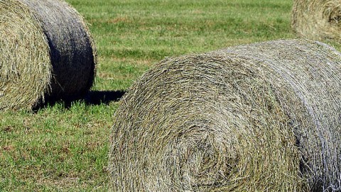 Un appel à la prudence pour les agriculteurs de la MRC de Kamouraska