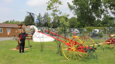 Portes ouvertes et exposition en plein air gratuites pour tous au Camping Pointe-aux-Oies