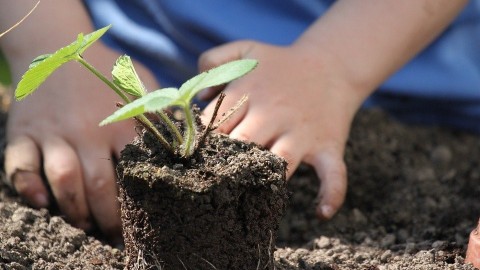 Un projet d’incubateur « l’Atelier Agricole » est mis en place à la MRC de Montmagny