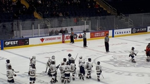 Les Alliés BB accèdent à la demi-finale du Tournoi pee-wee de Québec