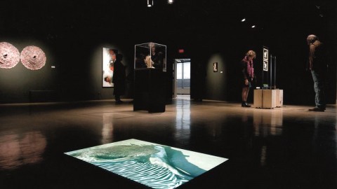 ALAIN CADIEUX EXPOSE À MONTRÉAL