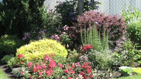 La Société d'horticulture et d'écologie de Montmagny reçoit Yves Gagnon