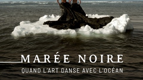 Marée Noire : une œuvre de Chantal Caron fait vibrer Saint-Jean-Port-Joli
