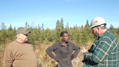 Tension en forêt 