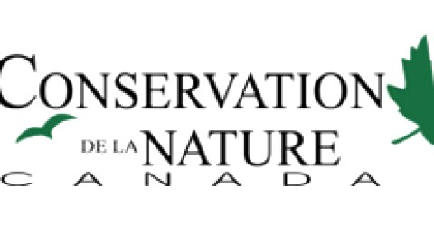 Participez à l'inventaire d'oiseaux à l'île aux Grues - Devenez un Volontaire pour la conservation de la nature !