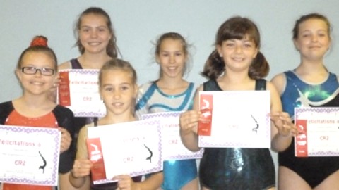 Des gymnastes de la catégorie CR2 de Magny-Gym participent à une évaluation du Programme Circuit régional niveau 2