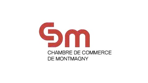 L'ENTREPRENEURIAT AU FÉMININ