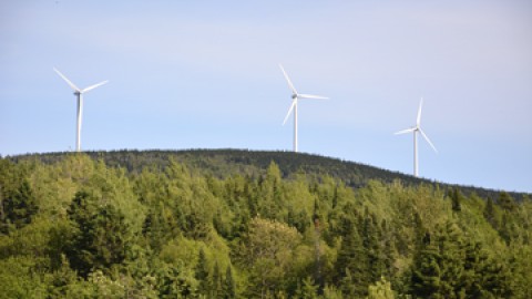 Pérennité assurée grâce... aux éoliennes!